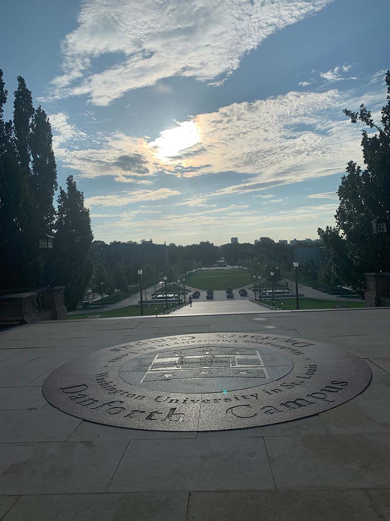WashU Brookings View